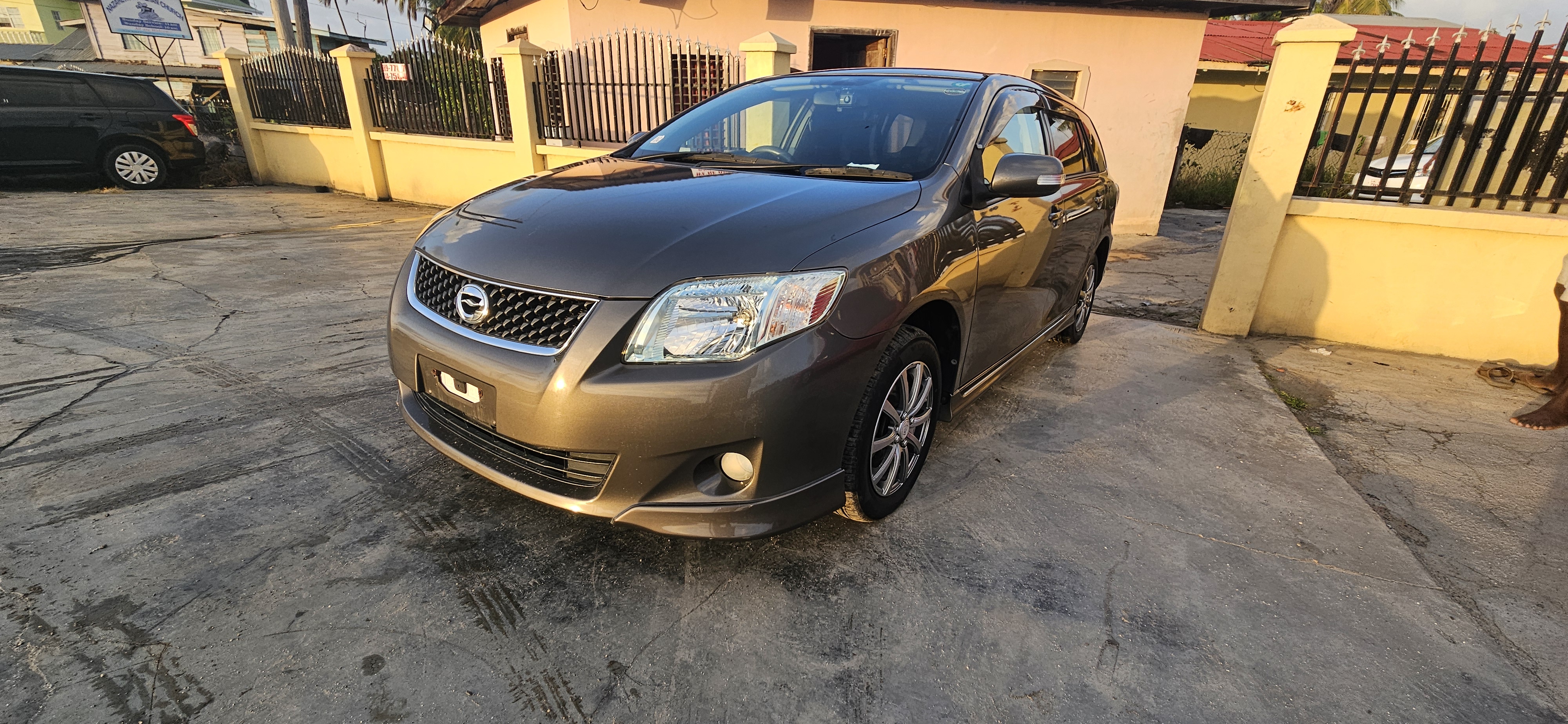 Toyota Corolla Fielder (0014)